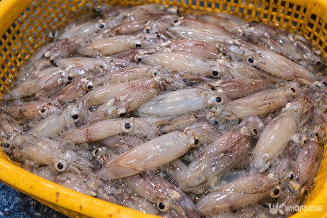 호래기가 바구니에 한가득 담겨 있다. / 위키푸디