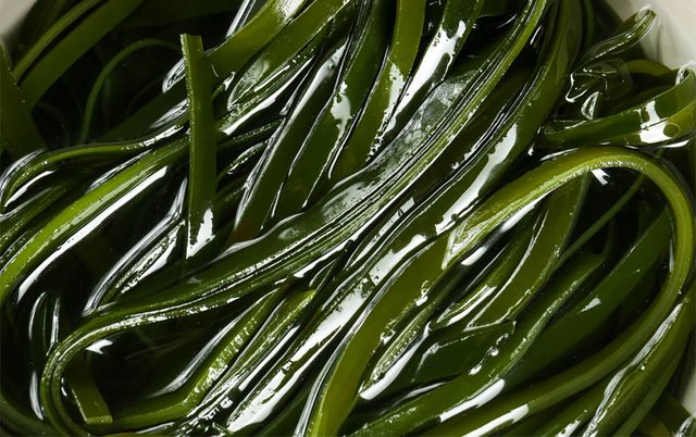 다시마채가 물에 잠겨 있다. / BlitzDaix03-shutterstock.com