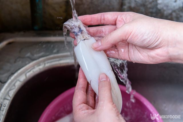 오징어볶음 레시피. / MARVIK-shutterstock.com