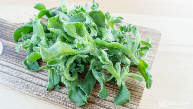 도마 위 아이스플랜트. / aomas-shutterstock.com