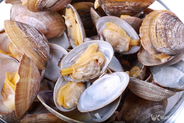 바지락. / Jiang Dongmei-shutterstock.com