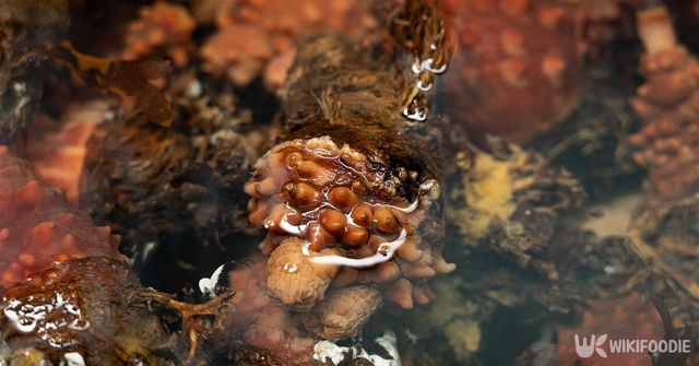 기사의 이해를 돕기 위한 이미지. / kungfu01-shutterstock.com