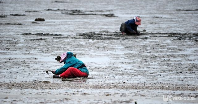 기사의 이해를 돕기 위한 이미지. / Yeongsik Im-shutterstock.com
