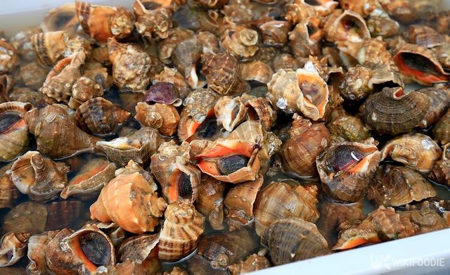 갓 잡힌 소라. / Haizhen Du-shutterstock.com