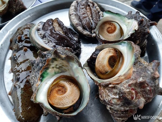 각종 해산물과 소라. / sukritta phumduang-shutterstock.com