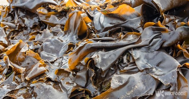 미역. / Kittisak Chysree-shutterstock.com