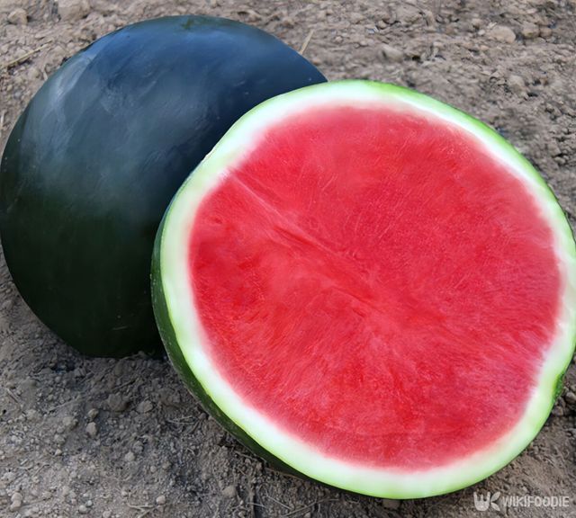 덴스케 수박 자료 사진. / Its K-shutterstock