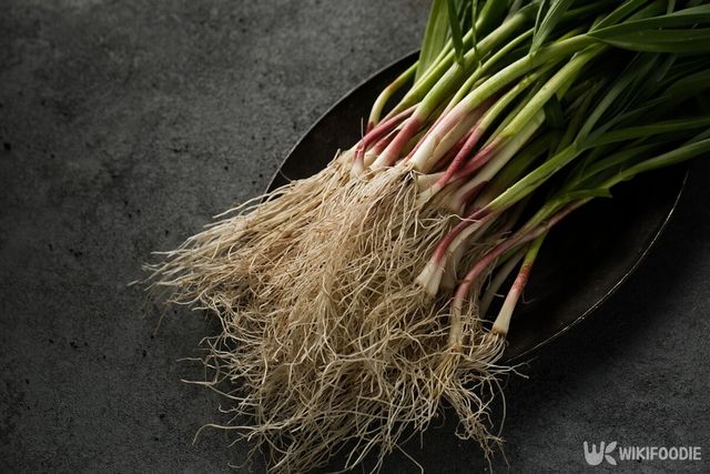 기사의 이해를 돕기 위한 이미지. 풋마늘. / Malivan_Iuliia-shutterstock.com