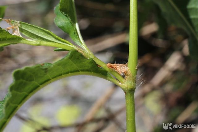 기사의 이해를 돕기 위한 이미지. / Vankich1-shutterstock.com