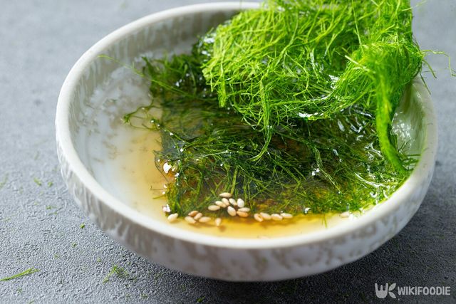 가시파래 자료사진. / mnimage-shutterstock.com