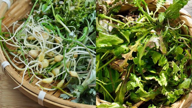 기사 이해를 돕기 위한 자료 사진 / sungsu han, sungsu han- shutterstock