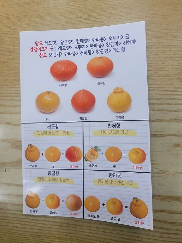 감귤 구별법. / 온라인 커뮤니티