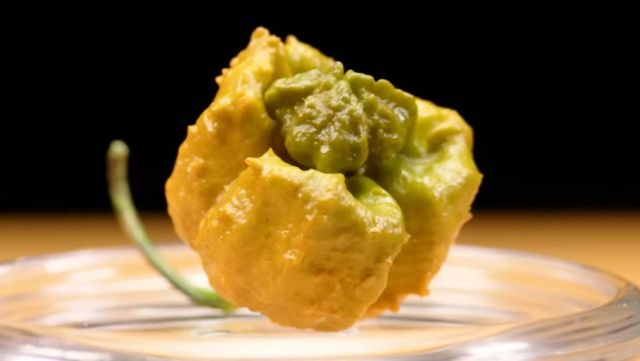 페퍼 X. / 유튜브 'First We Feast'