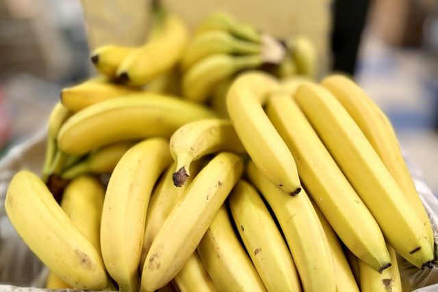 기사 이해를 돕기 위한 자료 사진 / vipvn- shutterstock