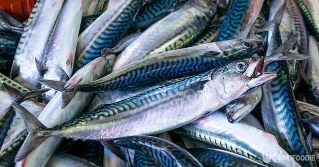 고등어. / Andriy Nekrasov-shutterstock.com