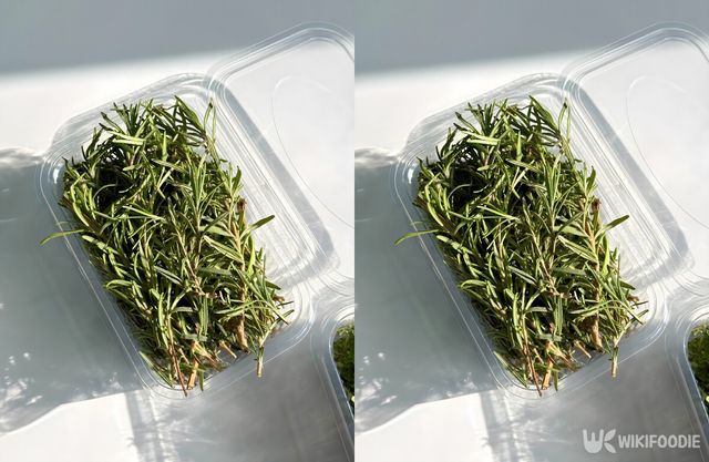 로즈메리 자료사진. / AKOCHAR-shutterstock.com