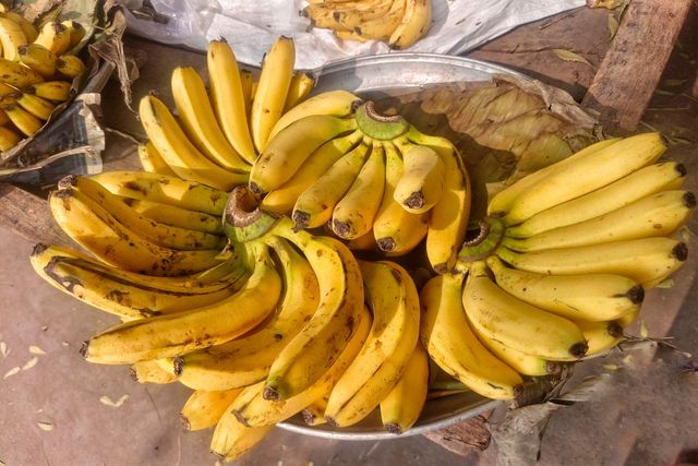 기사 이해를 돕기 위한 자료 사진 / irfan khan moosa khan- shutterstock