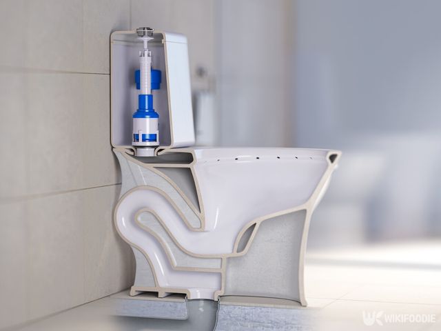 변기 구조 자료사진. / Maxx-Studio-shutterstock.com