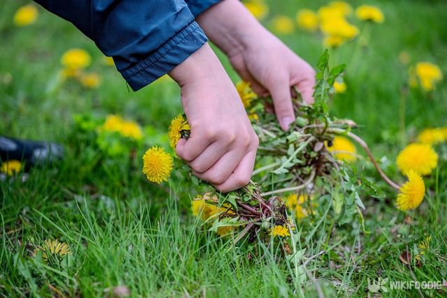 기사의 이해를 돕기 위한 이미지. / VisualArtStudio-shutterstock.com