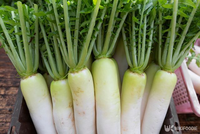 무 자료사진. / KAMONRAT-shutterstock.com