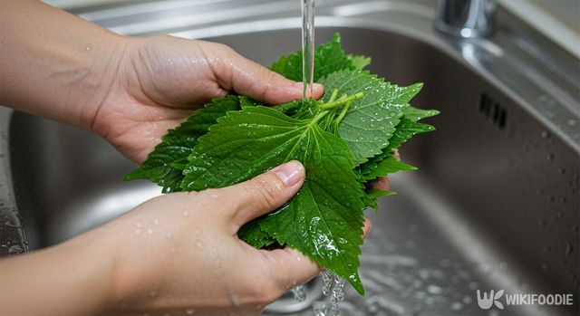 깻잎달걀부침 자료사진. / 위키푸디