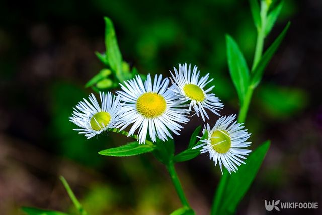 기사의 이해를 돕기 위한 이미지. / Oleg Kovtun Hydrobio-shutterstock.com