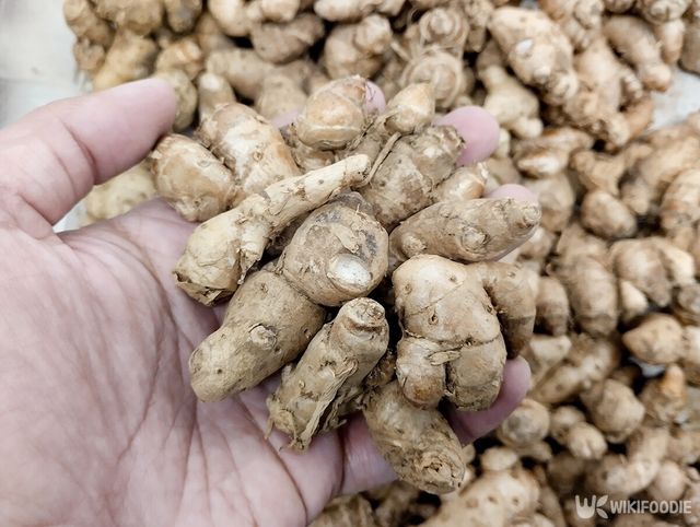 생강 자료사진. / Orotnub-shutterstock.com