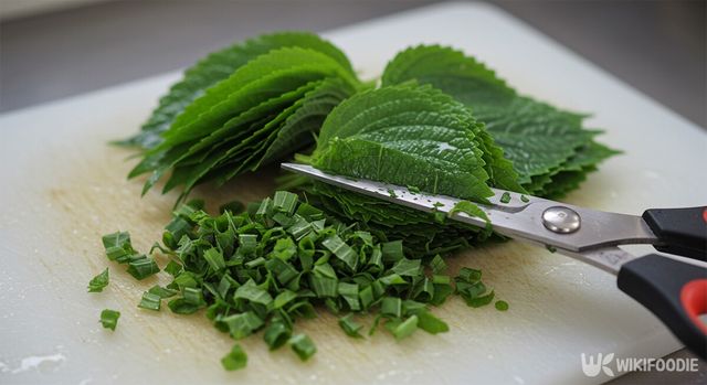 깻잎달걀부침 자료사진. / 위키푸디