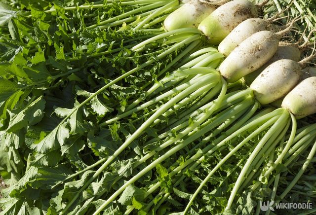 무 자료사진. / Stock for you-shutterstock.com