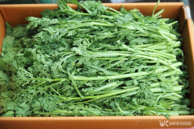 쑥갓 자료사진. / shin sang eun-shutterstock.com