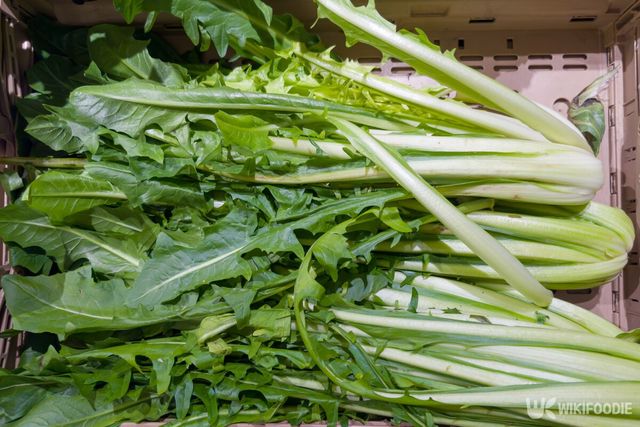 치커리 자료사진. / anmbph-shutterstock.com