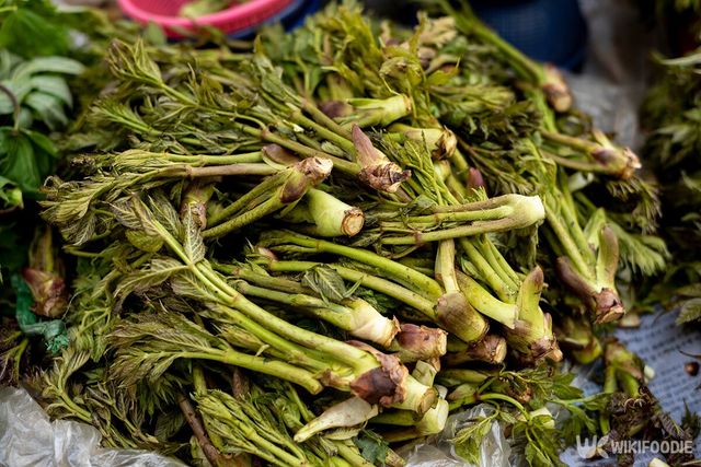 두릅 자료사진. / LegoCamera-shutterstock.com