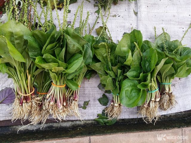 기사의 이해를 돕기 위한 이미지. / Young Swee Ming-shutterstock.com