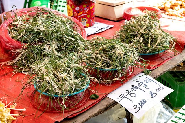 달래 자료사진. / bigshot01-shutterstock.com