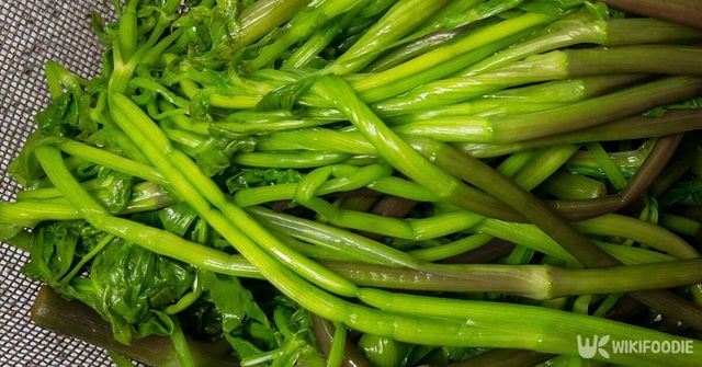 미나리 자료사진. / ACLJ-shutterstock.com