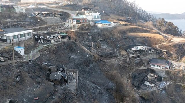 드론이 포착한 영덕읍 석리 일대 산불 피해 지역. / 영덕군 제공