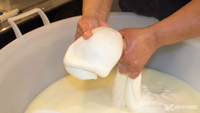 유제품 치즈 자료 사진. / francesco de marco-shutterstock