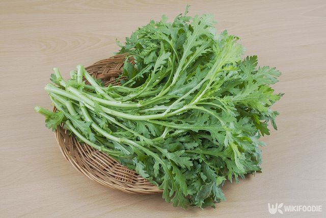 쑥 자료사진. / Stock for you-shutterstock.com