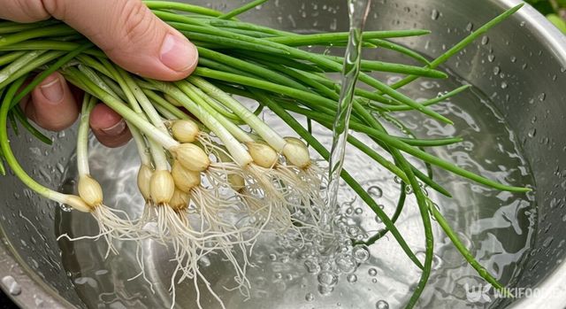 달래를 물에 세척하는 모습. / 위키푸디