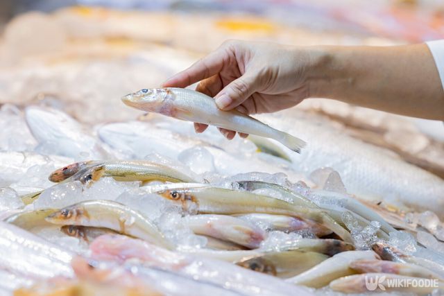 보리멸 참고사진. / Shine Nucha-shutterstock.com