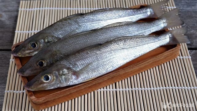 보리멸 참고사진. / Reynilda Syarif-shutterstock.com