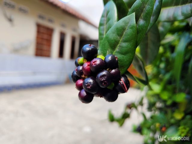 기사의 이해를 돕기 위한 이미지. / Baladrat-shutterstock.com