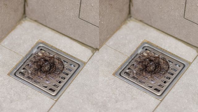 기사 이해를 돕기 위한 자료 사진 /