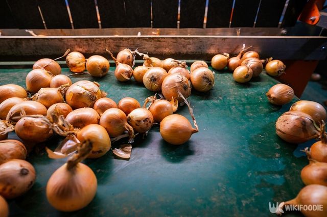 기사의 이해를 돕기 위한 이미지. / SGr-shutterstock.com