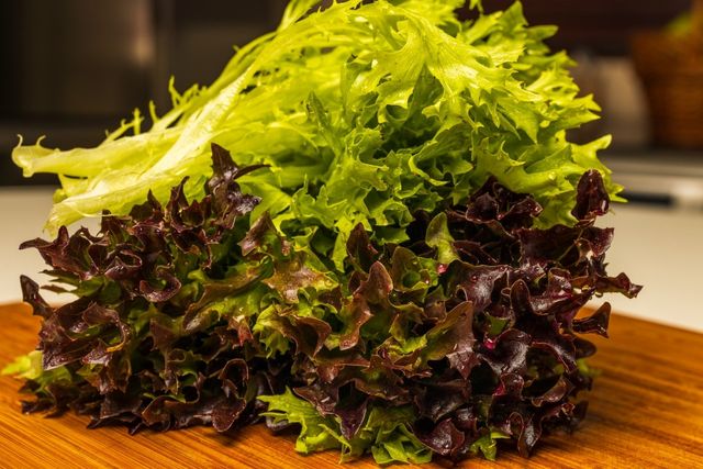 기사의 이해를 돕기 위한 이미지, 상추. / Cristian Zamfir-shutterstock.com