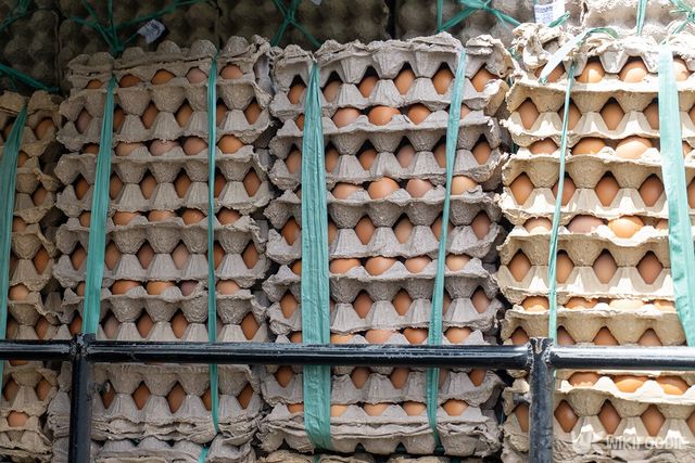 계란 자료사진. / Rifqi Zakiri-shutterstock.com