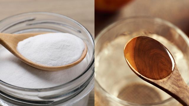 기사 이해를 돕기 위한 자료 사진 / New Africa, Madeleine Steinbach- shutterstock