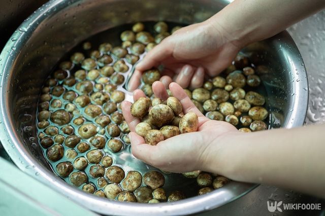 버섯 세척 자료사진. / Boyloso-shutterstock.com