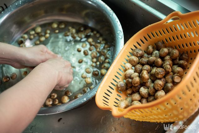 버섯 세척 자료사진. / Boyloso-shutterstock.com