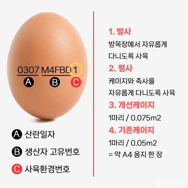 계란 난각번호 자료사진. / 위키푸디